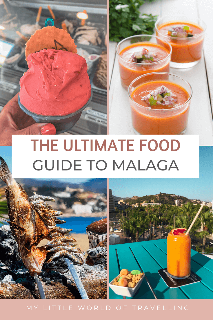 malaga food guide