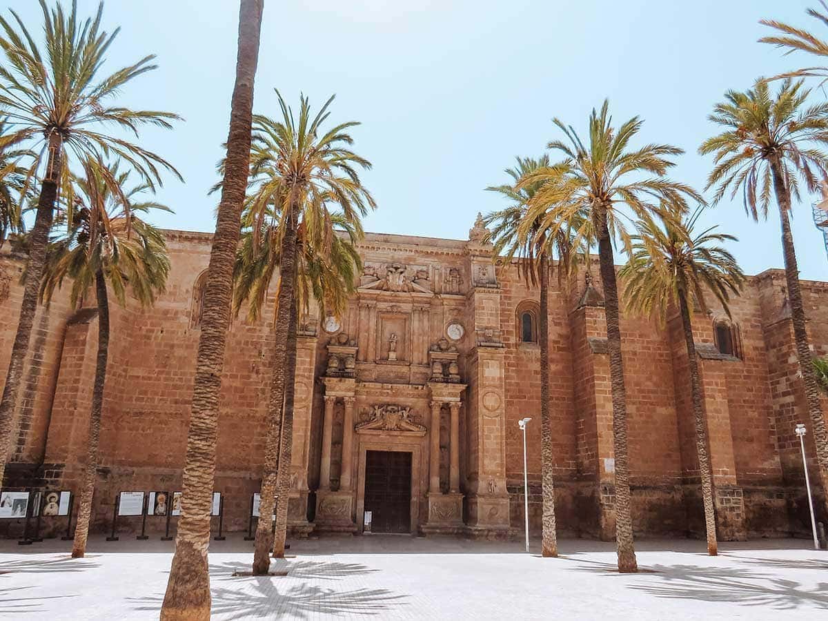 A photo of Almeria Cathedral surrounded by palm trees on a sunny day.