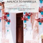 malaga to marbella guide