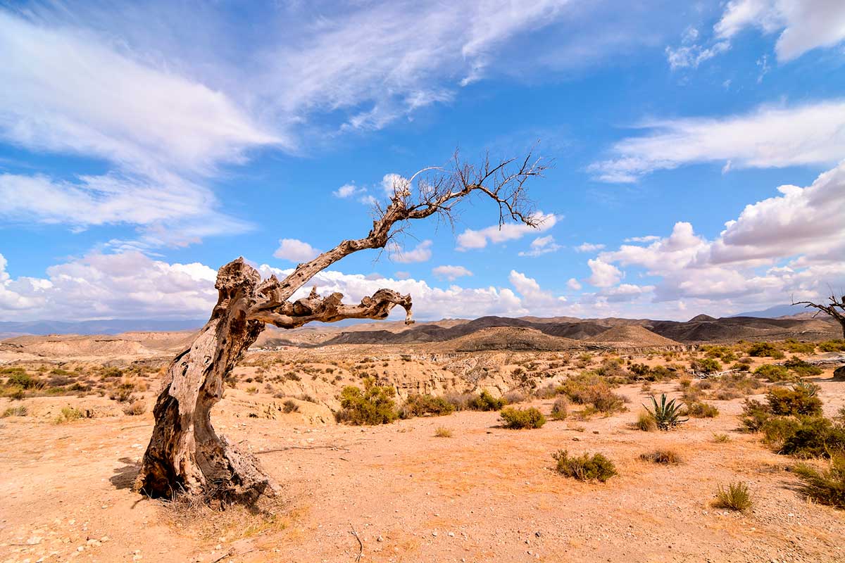 a view of tabernas desert in almeria andalusia