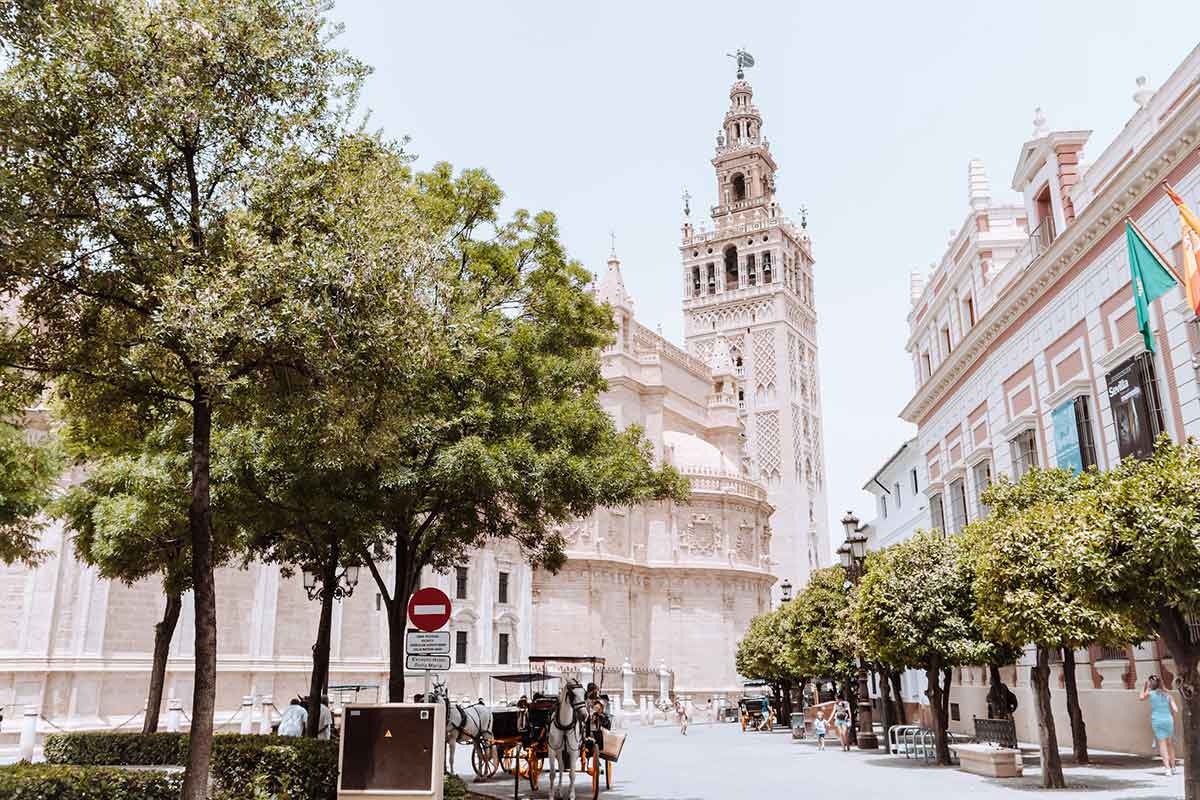 a view of la giralda tower in seville