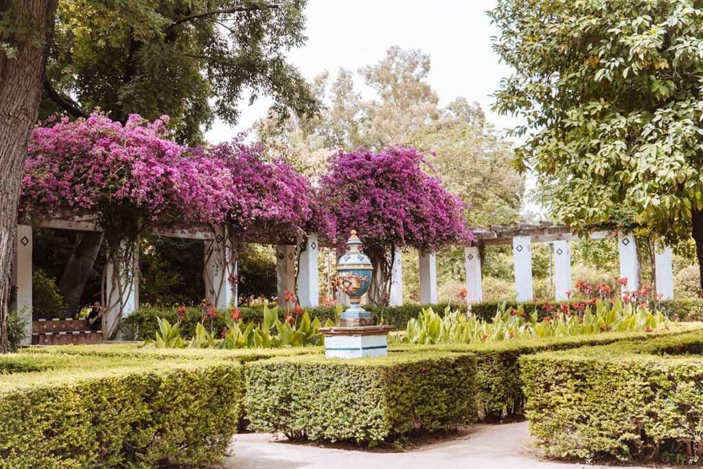 gardens at maria luisa park seville