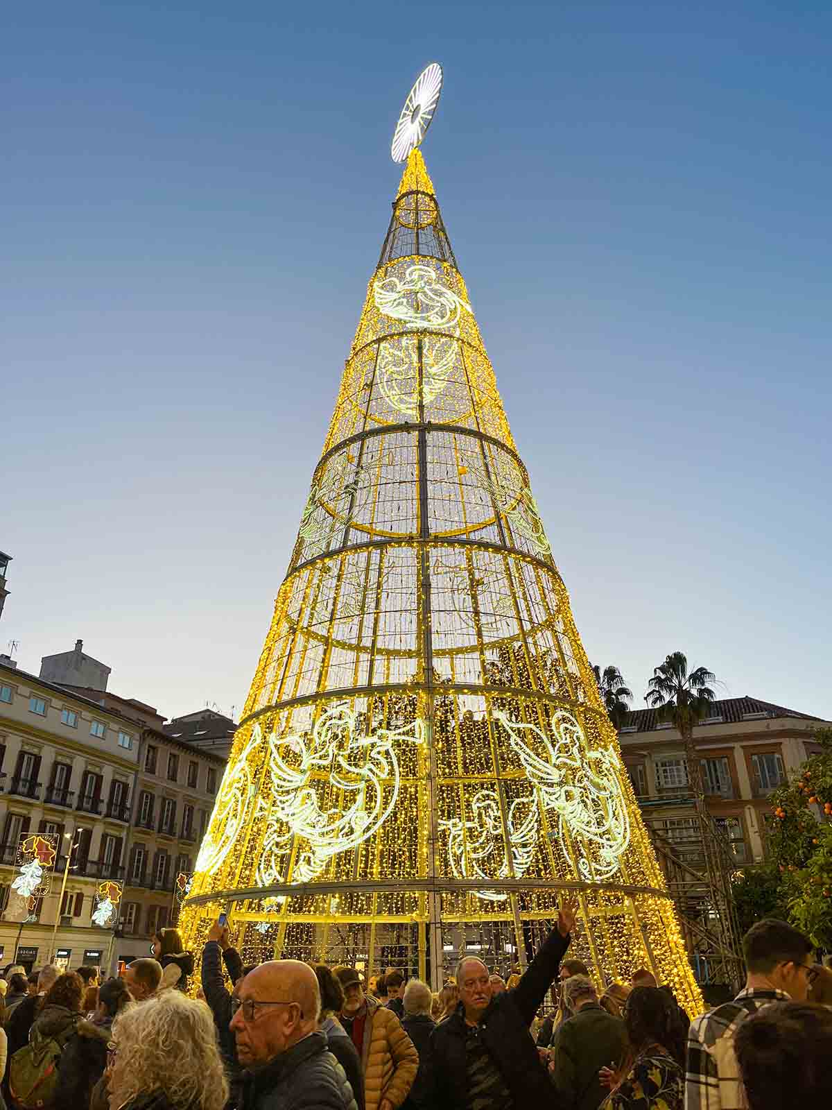 How to Spend Christmas in Malaga (A Local's Guide) 7 Plaza de la Constitucion at Christmas time.