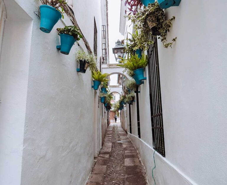 a beautiful whitewashed street in cordoba spain
