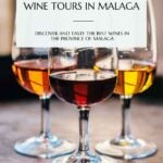 the best wine tours in malaga