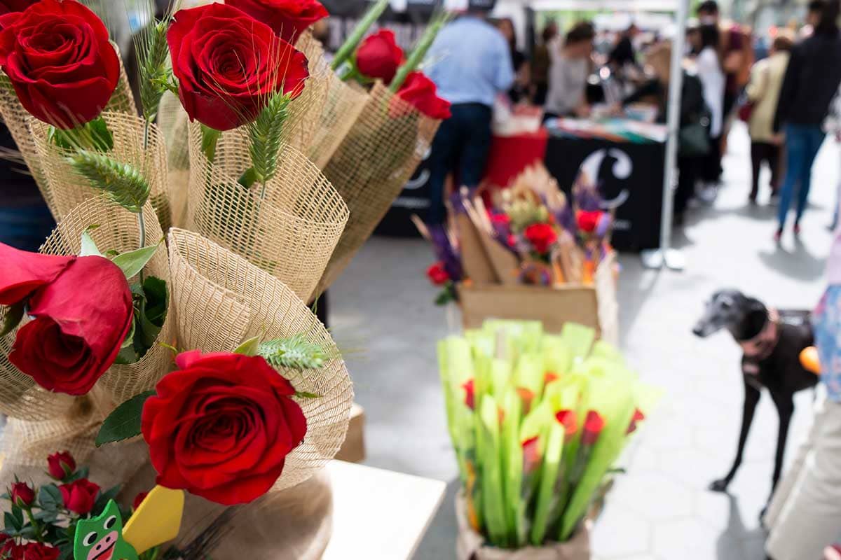 Living in Malaga Vs Barcelona: Which Is The Best? 14 close up photo of roses for san jordi day in barcelona