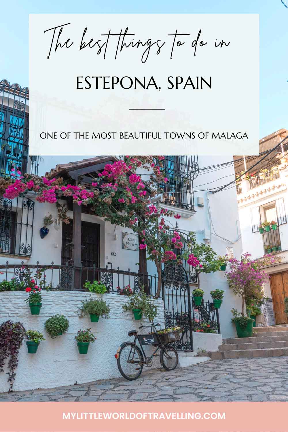 Pinterest pin that reads the best things to do in estepona, spain.