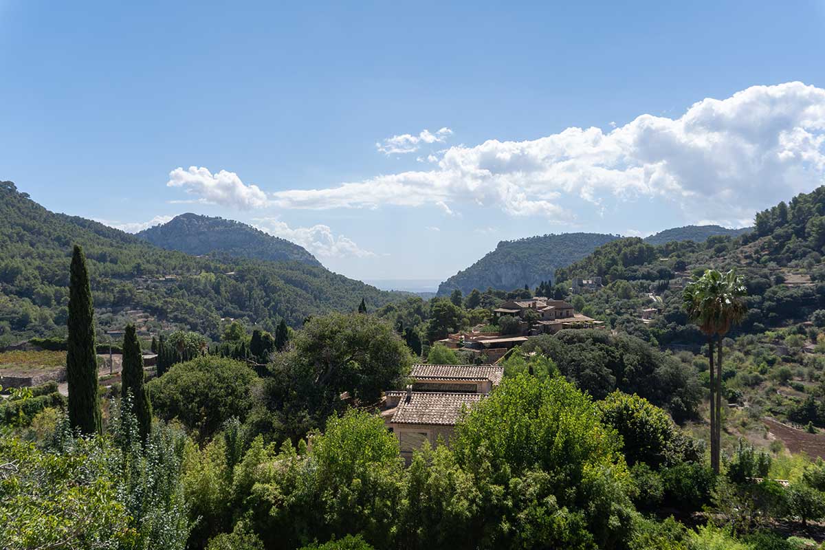 A photo of Mallorca countryside with beautiful mountain and sea views, palm trees and other trees.