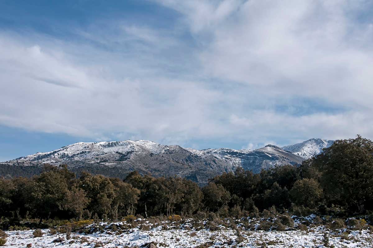 Sierra de las Nieves, Malaga.