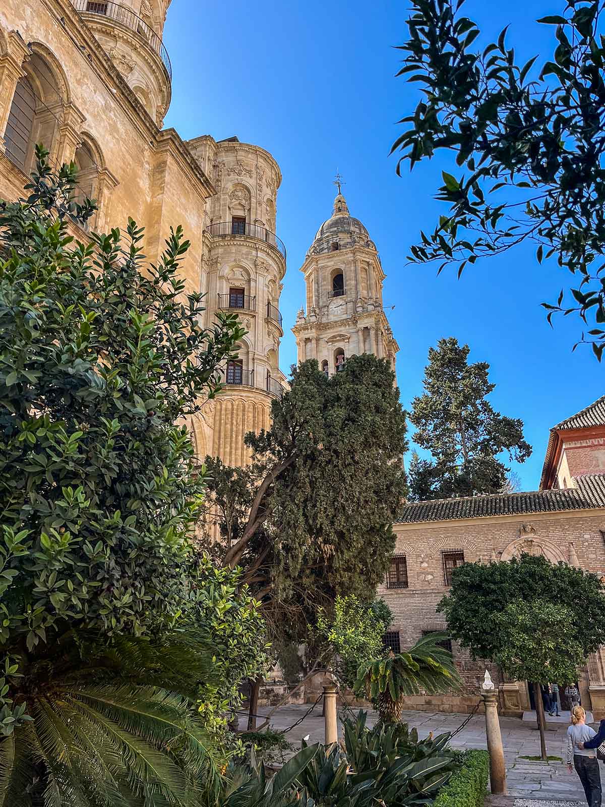 Malaga Cathedral tower view from the gardens.