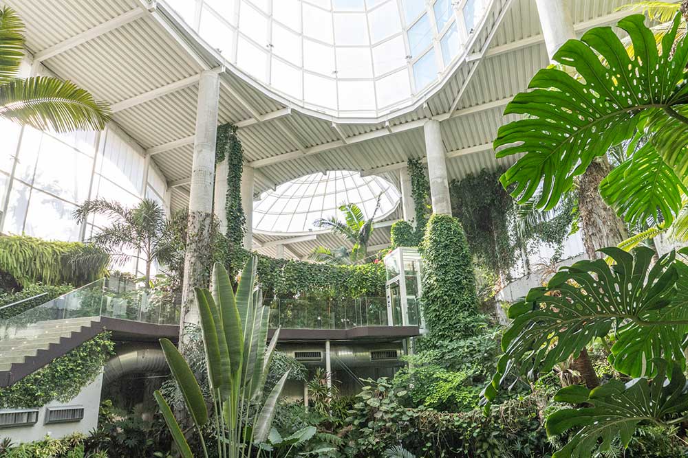 The Ultimate Guide to Estepona Old Town 11 Inside Estepona orchid house