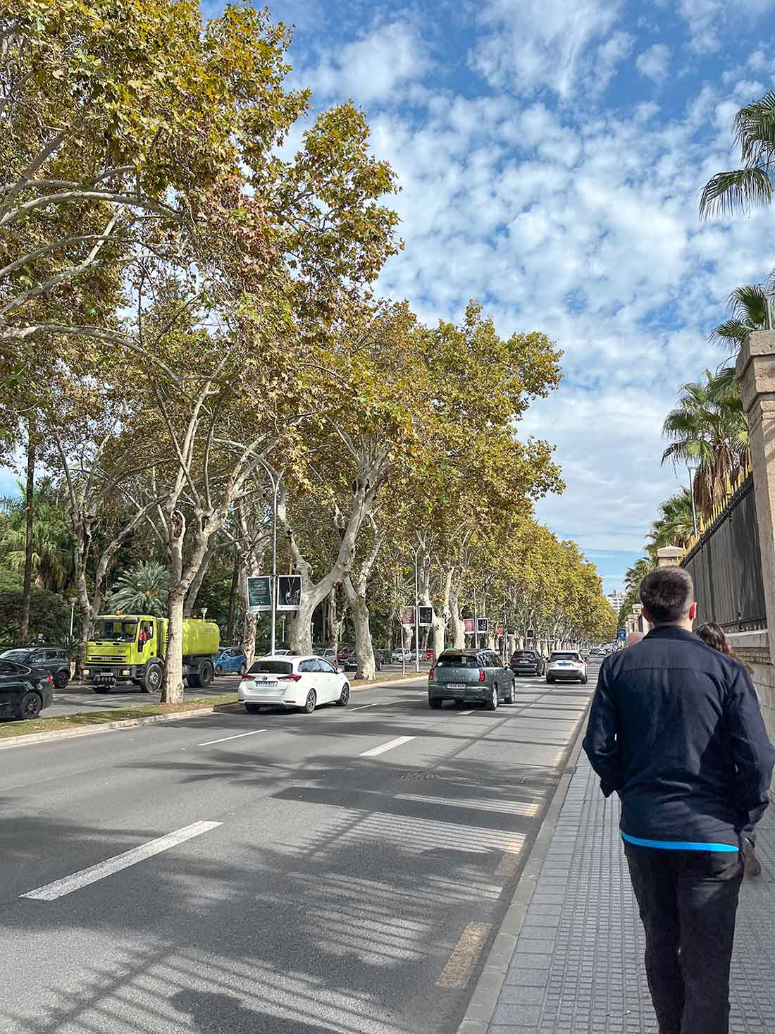 A tree-lined urban road with cars traveling in both directions, bordered by a sidewalk where a person walks away from the camera. The sky is partly cloudy, and sunlight casts shadows from the trees and railing onto the pavement.