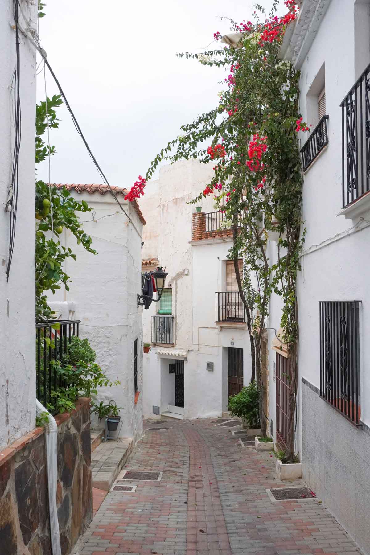 A beautiful street in Ojen.