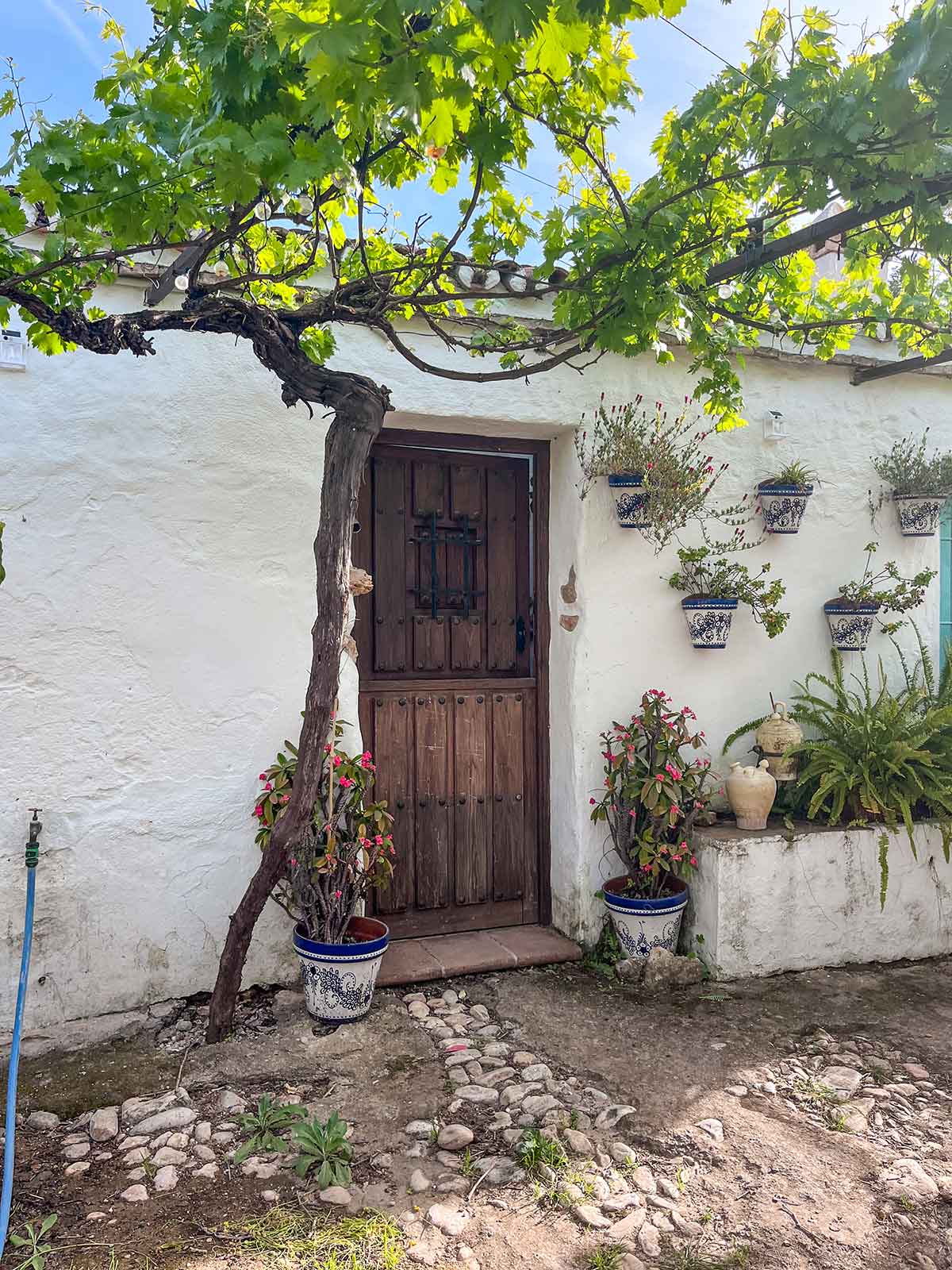 10 Things to do in Alhaurin El Grande 6 Beautiful Andalusian doorway decorated with plant pots.