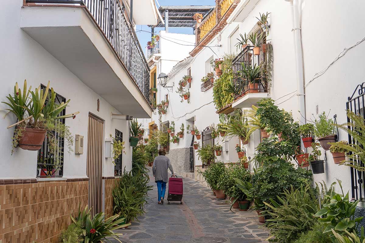 A street with whitepainted buildings and plants in Canillas de Aceituno, Malaga.
