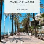 A pinterest pin that shows a photo of Marbella beach promenade.