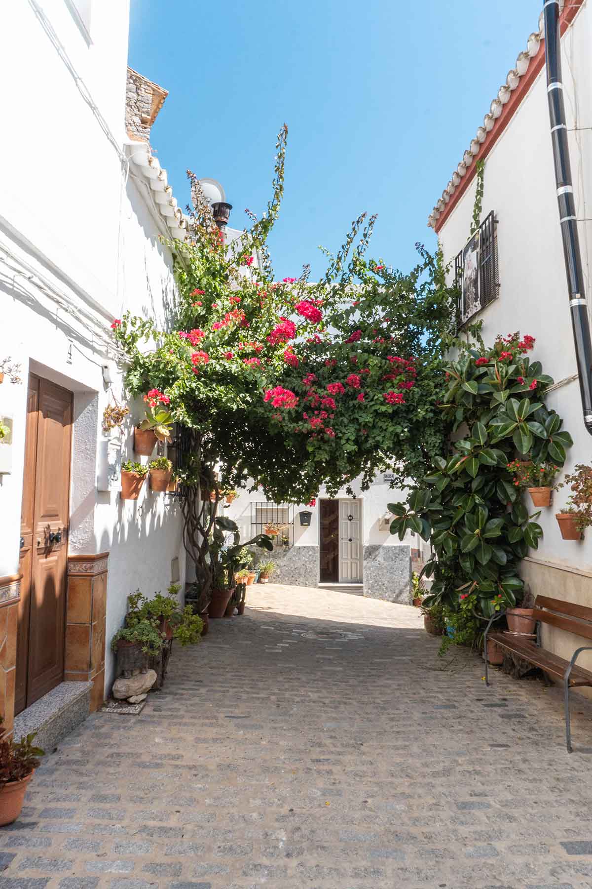 Pretty street with flowers in a neighbourhood in Olvera.