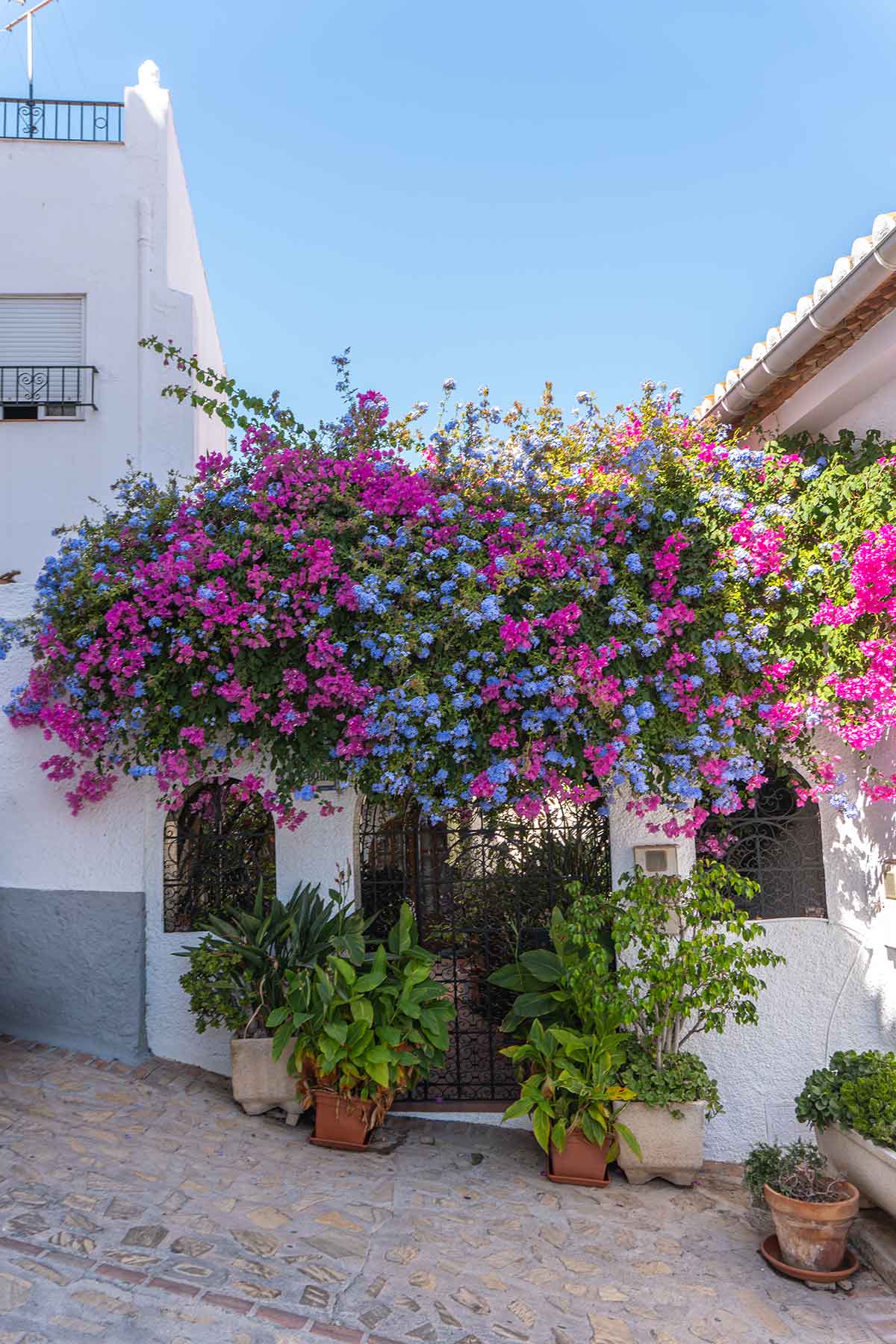 A pretty arched door with colourful flowers.