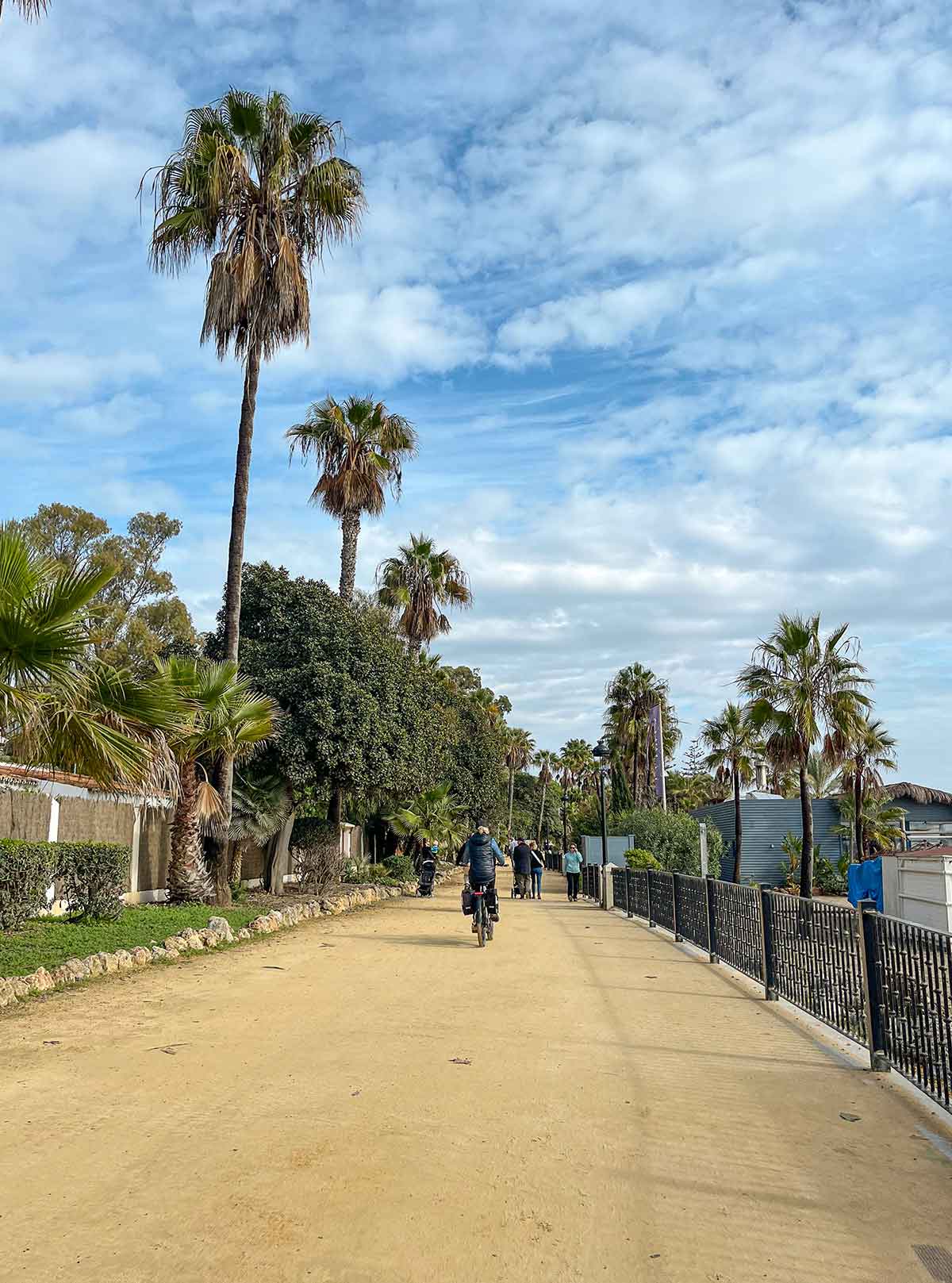 Beach promenade with beautiful palm trees in Marbella.