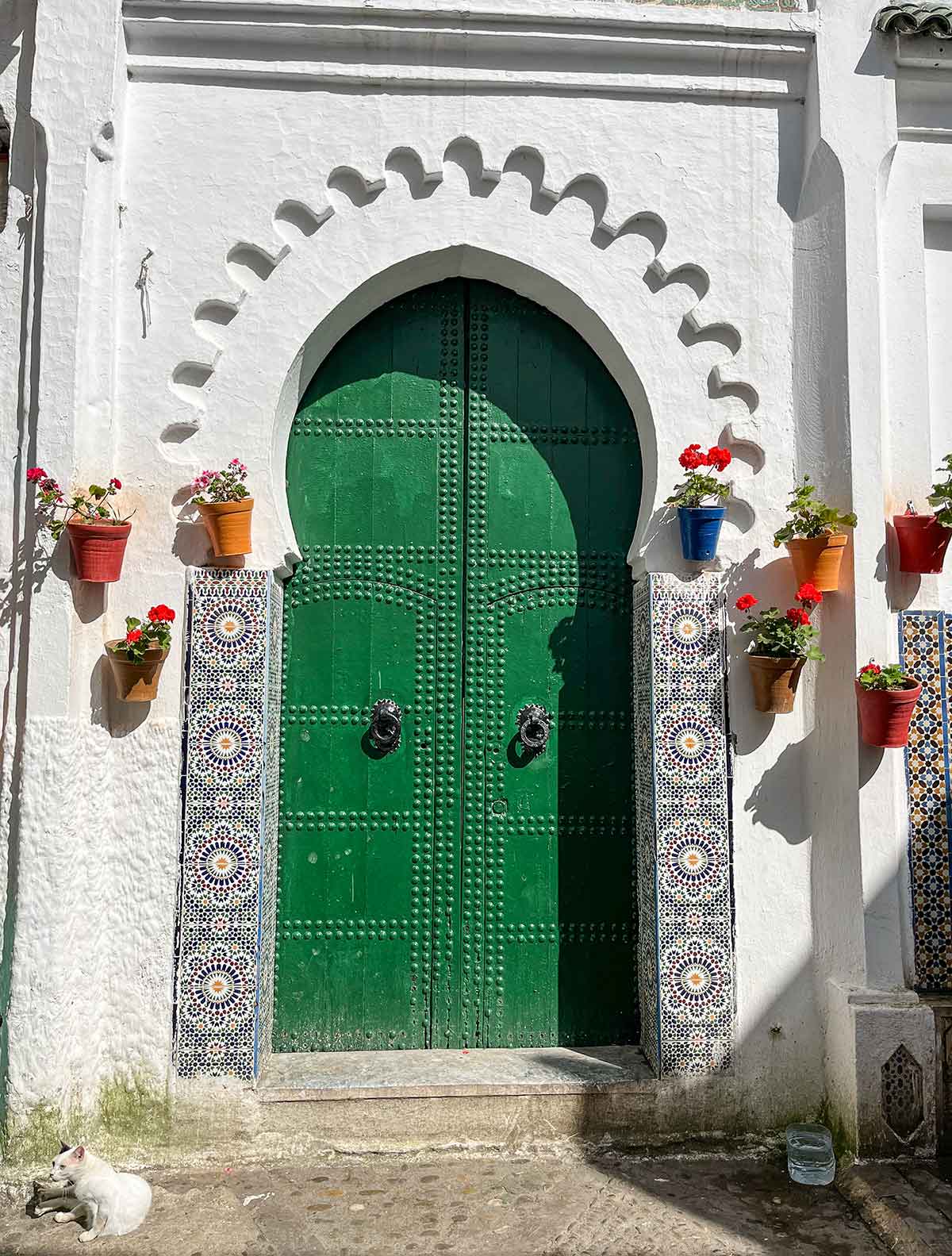 Green doorway with tiles and Moorish details surrounded by flower pots in Tetouan, Morocco.