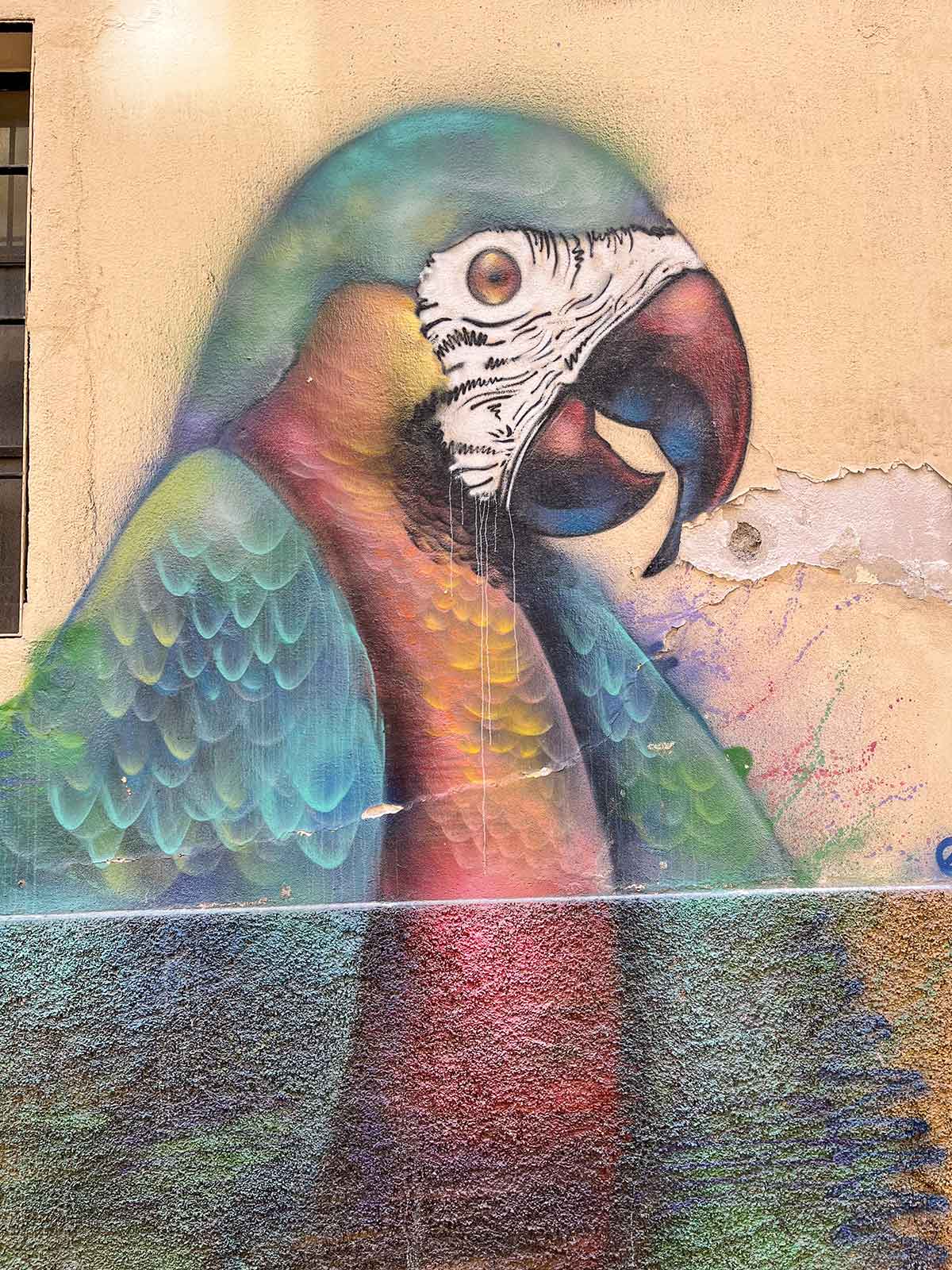 Painting of a parrot on a wall in the neighbourhood of Soho in Malaga, Spain.