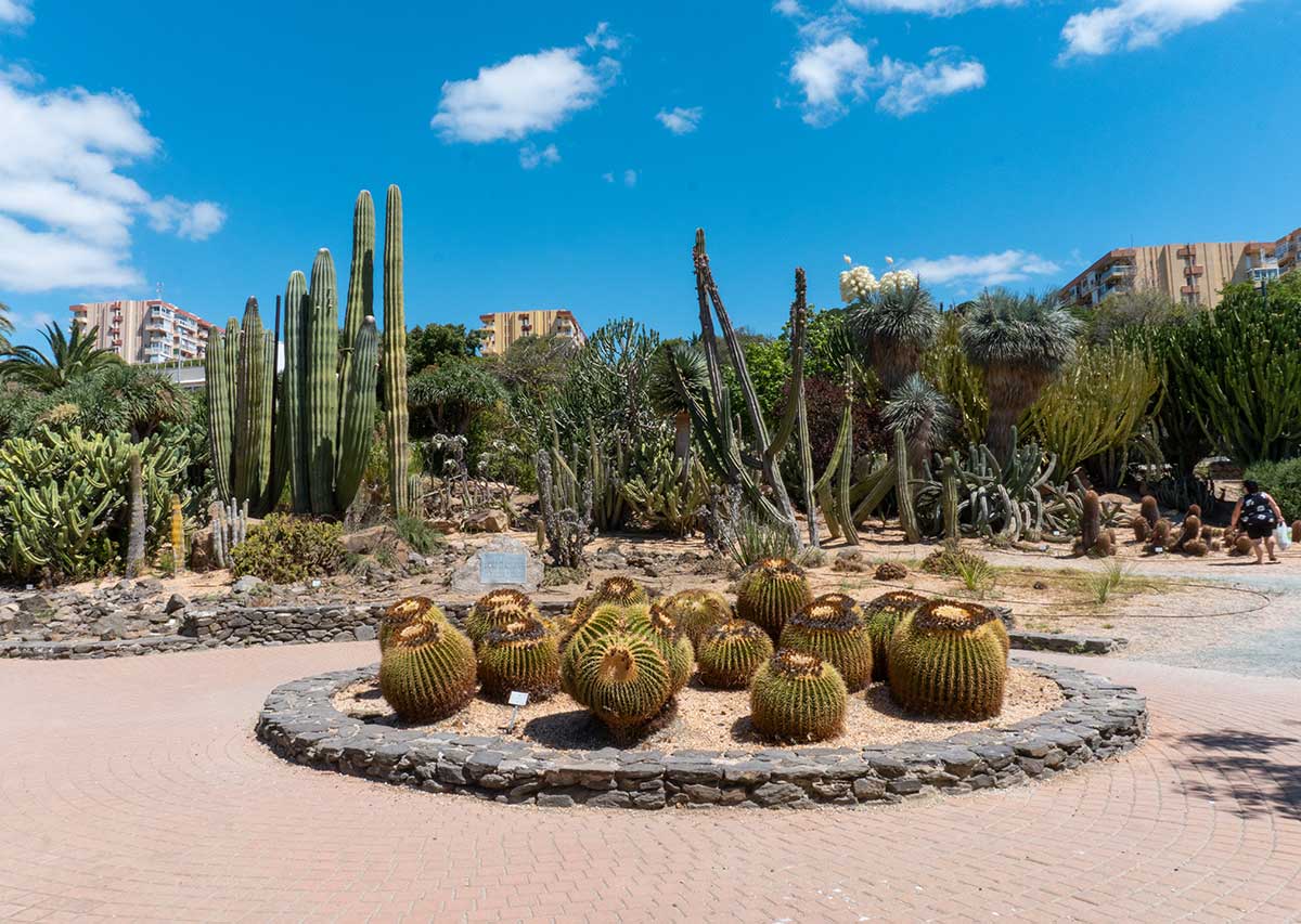 Ultimate Guide to Parque de la Paloma 5 Cacti garden in Parque de la Paloma, Benalmadena, Spain.