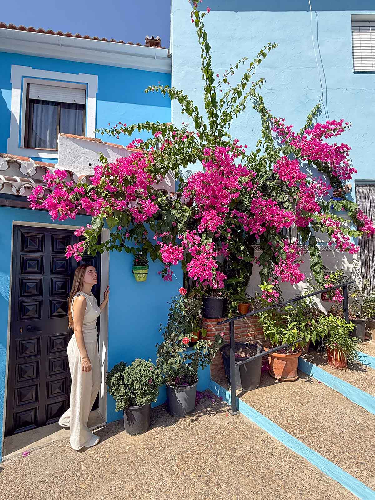 Things to Do in Juzcar, The Blue Village in Malaga 14 Beautiful doorway next to bougainvillea flowers and blue stairs in Juzcar village.