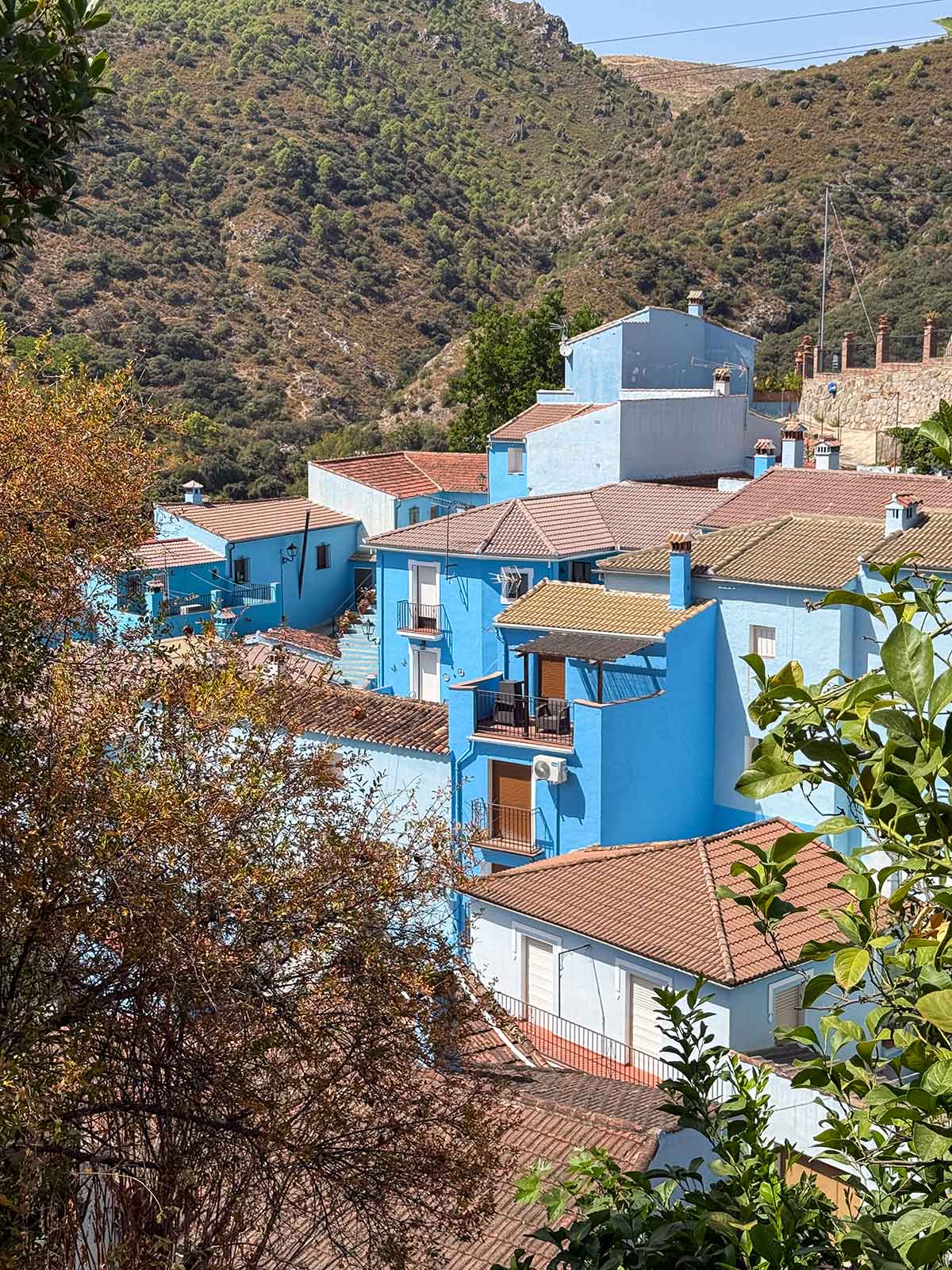 Things to Do in Juzcar, The Blue Village in Malaga 22 A peekaboo view of Juzcar blue buildings.