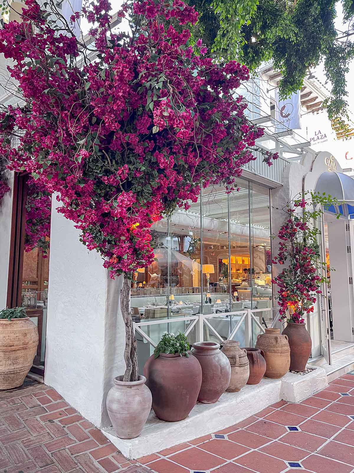 Gaia restaurant inside Nobu Hotel Marbella, Spain.